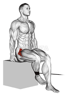 Band Seated Hip Internal Rotation demonstration