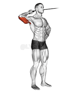 Band side triceps extension demonstration