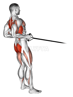 Band squat row demonstration
