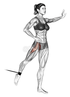 Band Standing Leg Raise demonstration