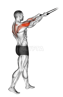 Band standing rear delt row demonstration