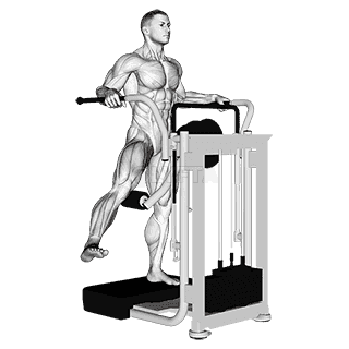 Lever Side Hip Adduction demonstration