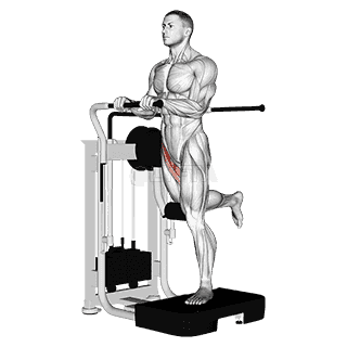Lever Standing Leg Raise demonstration
