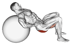 Lying Hip Lift demonstration