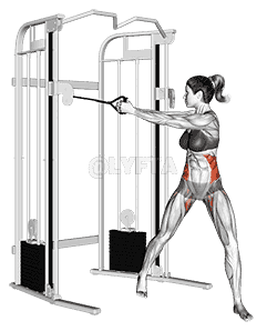 Cable twist demonstration