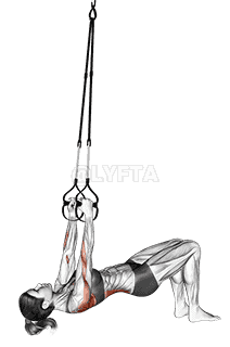 Suspension Bent knee Inverted Row demonstration