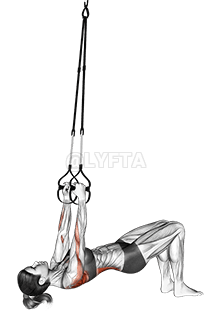 Suspension Bent knee Inverted Row demonstration