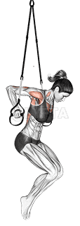 Suspension Chest Dip demonstration