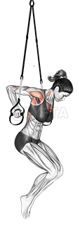 Suspension Chest Dip demonstration