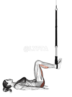Suspension Hip Bridge demonstration
