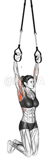 Suspension Pull-up demonstration