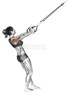 Suspension Reverse Fly demonstration