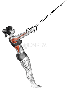 Suspension Row demonstration