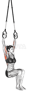 Suspension Self assisted Pull-up demonstration
