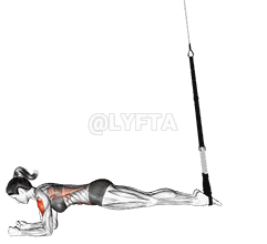 Suspension Body Saw demonstration