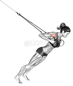 Suspension Close-grip Chest Press demonstration