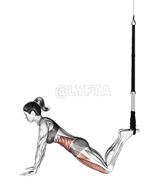 Suspension Front Plank demonstration