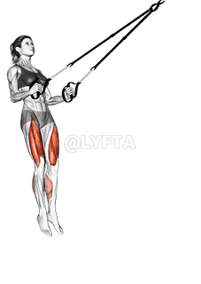 Suspension Jump Squat demonstration