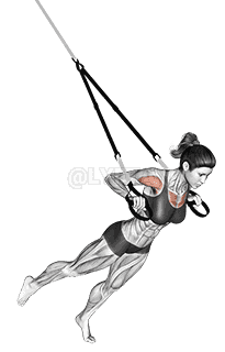 Suspension One Leg Chest Press demonstration