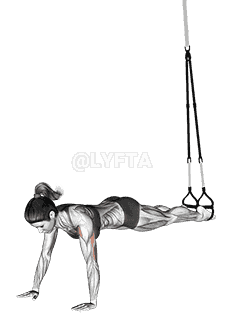 Suspension Push-up demonstration