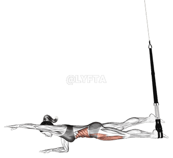 Suspension Single Leg Plank demonstration