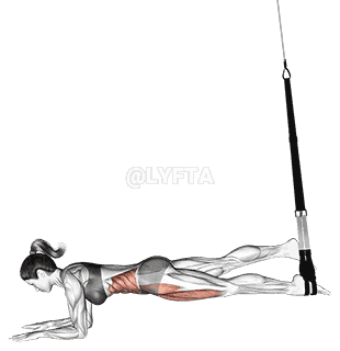 Suspension Single Leg Plank demonstration