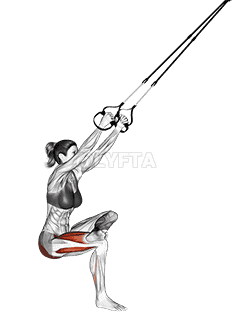 Suspension Single Leg Squat demonstration