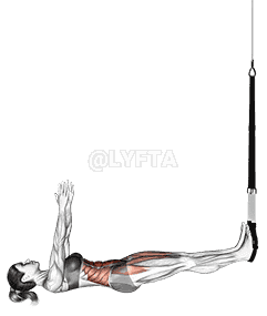 Suspension Sit-up demonstration