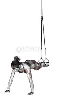 Suspension Spiderman Push-up demonstration
