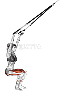 Suspension Squat demonstration