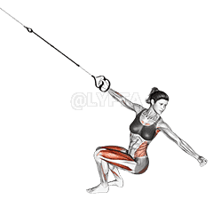 Suspension Squat Power Pull demonstration