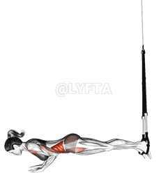 Suspension Star Push-up demonstration