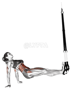 Suspension Supine Crunch demonstration
