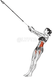 Suspension Twist-Up demonstration