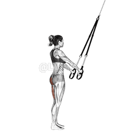 Suspension Single Leg Deadlift demonstration