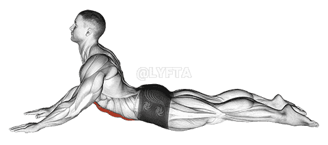 Lying demonstration