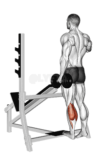 Dumbbell Standing Single Leg Calf Raise demonstration