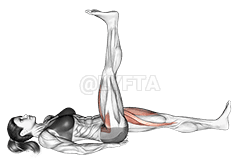 Lying Simultaneous Alternating Straight Leg Raise demonstration