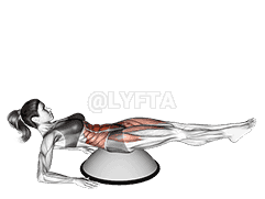 Alternate Straight Leg Raise demonstration