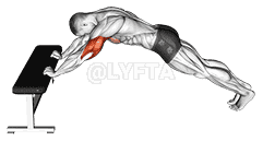 Triceps Press demonstration