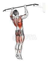 Jumping Pull-up demonstration