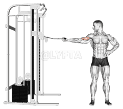 one arm inner biceps curl demonstration