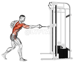 Cable Twisting Standing Row demonstration