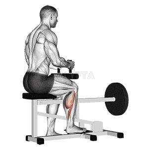Lever seated one leg calf raise demonstration