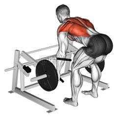 Lever Row demonstration