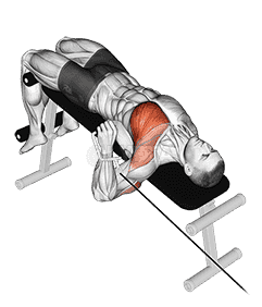 Cable Decline One Arm Press demonstration