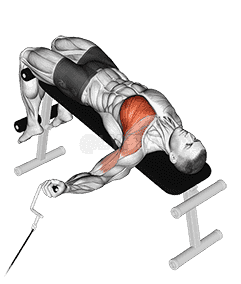 Cable One Arm Decline Chest Fly demonstration