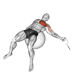 Cable One Arm Fly on Exercise Ball demonstration