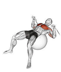 Cable Press on Exercise Ball demonstration
