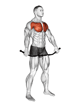 Chest and Front of Shoulder Stretch demonstration